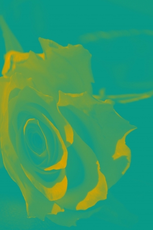 backgroundの写真素材