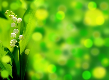 green backgroundの写真素材