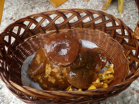 mushroomsの写真素材