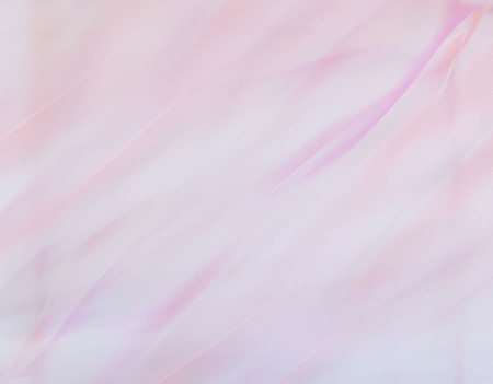 pink backgroundの写真素材