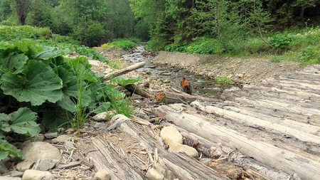 Babiogórski national parkの写真素材
