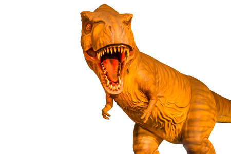 Siamotyrannus isanensis Was discovered the fossil in Thailand since  1993 Siamotyrannus isanensis was a theropoda  dinosaur. Its body was  about 6.5 meters, and  lived in the  cretaceous 130  million years ago.の写真素材