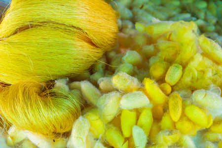 Beautiful color of Thai silk.の写真素材