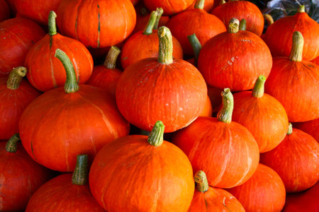 A mound of pumpkins for sellの写真素材