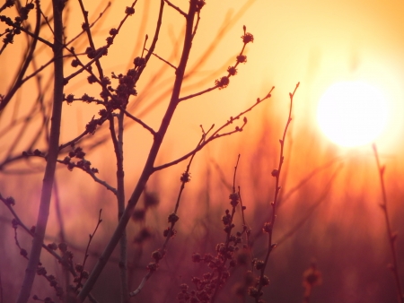 Sundownの写真素材