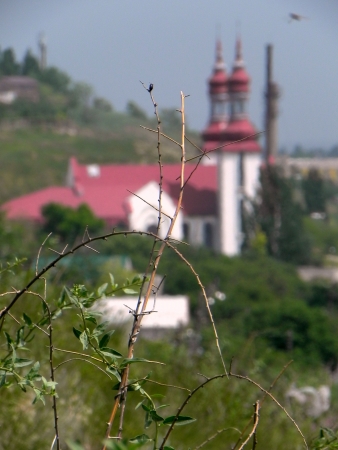 Churchの写真素材