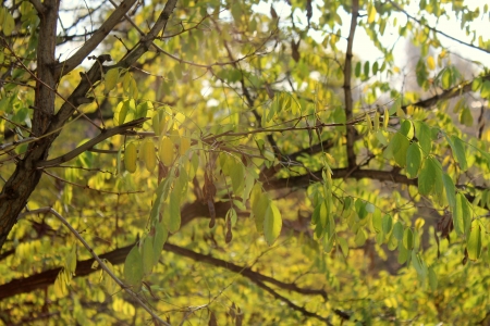 A ray of sunshineの写真素材