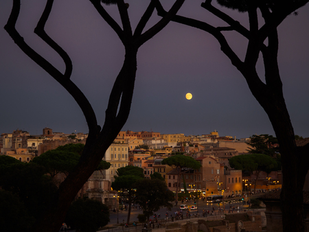 Two curved pine trees an fool moon over central part of Rome, ITealyの写真素材