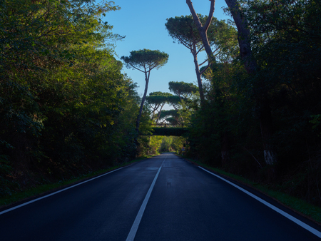 Footbridge over small road in dense forest near Rome, Italyの写真素材