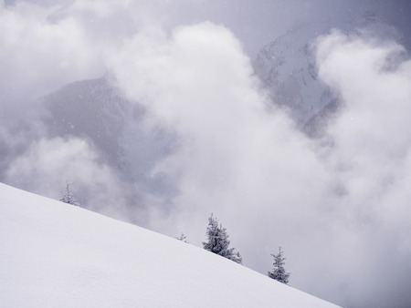 Snowflakes clearly visible during snowfall under sunshine in high Alpine mountainsの写真素材