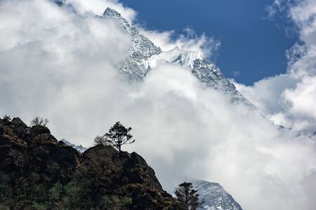 Lone tree on mountain edge with Mount Thamserku half covered by cloud, in Nepal Himalayasの写真素材