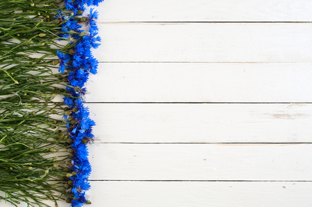 Beautiful blue flowers of the field on a white wooden table on the right side.の写真素材