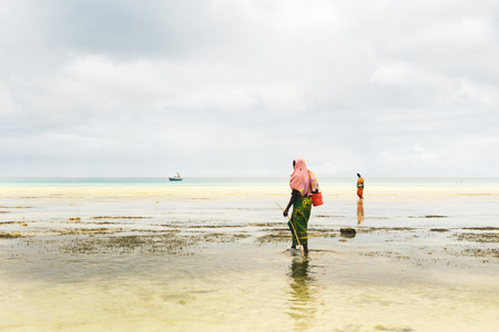African women in search of seafood in the oceanの写真素材