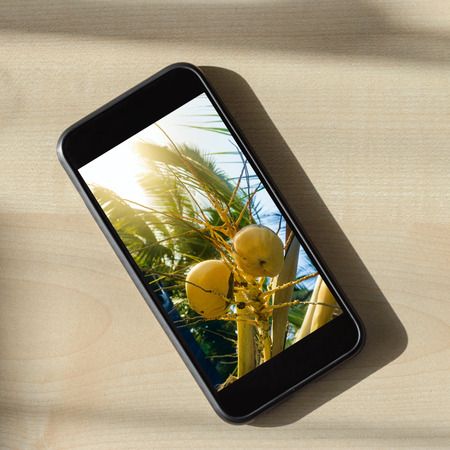 Photo of palm tree with coconuts on the screen of smartphone phone. Travel background