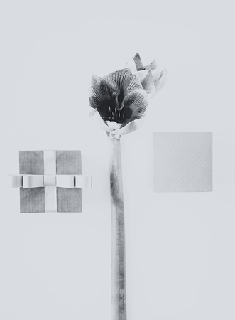 Vintage black and white creative layout made of amaryllis flower and two gift box. Flat lay. Top view. Minimal celebration minimal conceptの写真素材