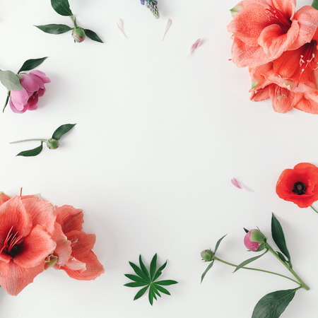 Frame from wildflowers, poppy, amaryllis, peonies on white background. Flat lay, top view. Pattern of flowersの写真素材