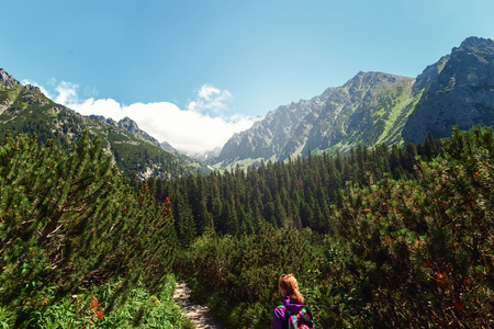 Mountain landscape with traveler. High tatras mountains in Slovakiaの写真素材