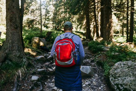 Man with backpack walking dense forest. Travel and backpacking lifestyle conceptの写真素材