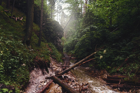 Landscape with mountain river. Sucha Bela, Slovak Paradise, Slovakiaの写真素材