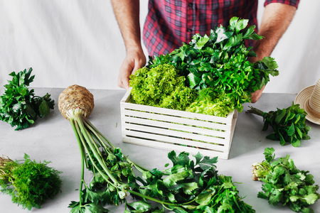 Farmer with freshly herbs in wooden box on white table. Harvesting conceptの写真素材