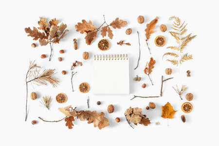 Top view various dried leaves with a notebook for your text on white background. Autumn, fall concept flat lay. Autumn compositionの写真素材