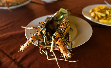 Lobster shell on a plate close-upの写真素材