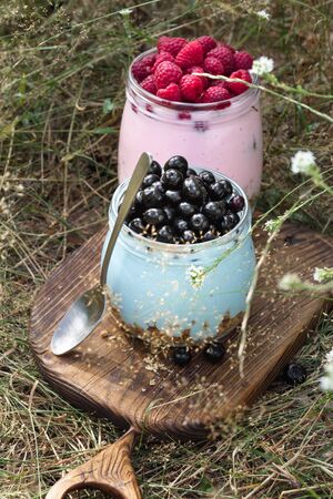 Granola yogurt with homemade blueberry and raspberry in glass jar in grassの写真素材