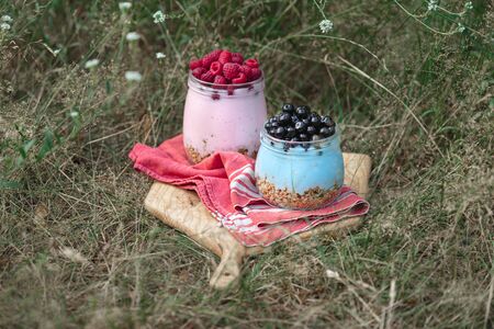 Granola yogurt with homemade blueberry and raspberry in glass jar in grassの写真素材