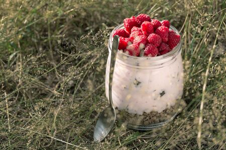 Granola yogurt with homemade raspberry in glass jar in grassの写真素材