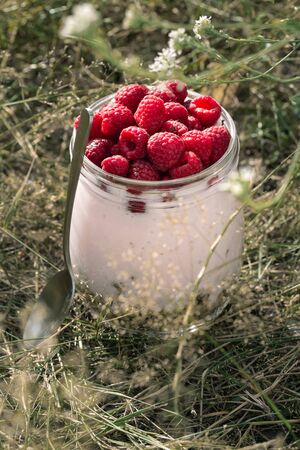 Granola yogurt with raspberry in glass jar in grass close upの写真素材