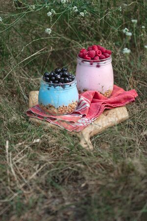Healthy food breakfast. Granola yogurt with homemade blueberry and raspberry in glass jar in grassの写真素材