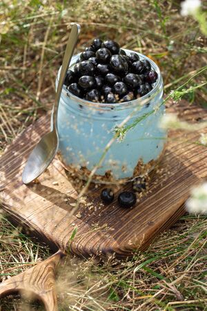 Healthy food breakfast. Granola yogurt with homemade blueberry in glass jar in grassの写真素材