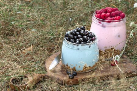 Healthy food breakfast. Granola yogurt with homemade blueberry and raspberry in glass jar in grassの写真素材
