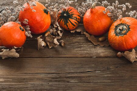 Fall  Pumpkins with dry leaf and acornsの写真素材
