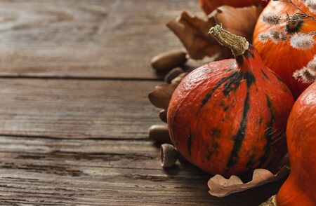 Autumn  Pumpkins with dry leaf and acornsの写真素材