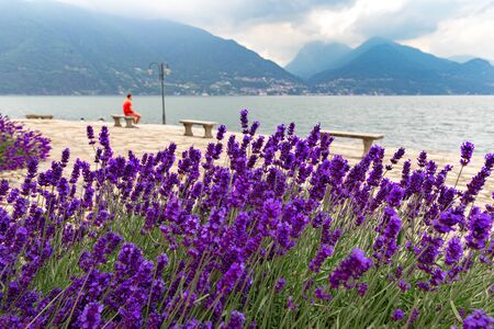 Beautiful landscape on the lake Como Italyの写真素材