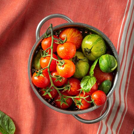 Overhead view fresh tomatoes with basil leaves in sieveの写真素材