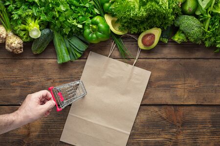 Paper bag with green vegetables and small shopping cart. Purchase Healthy vegan and vegetarian foodの写真素材
