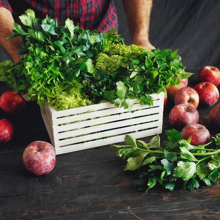 Farmer with freshly picked herbs in wooden box garvesting conceptの写真素材
