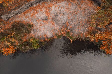Autumn background. Aerial drone view of the lake and orange treeの写真素材