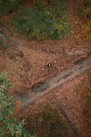 Young woman with spread hands in the autumn forest aerial drone viewの写真素材