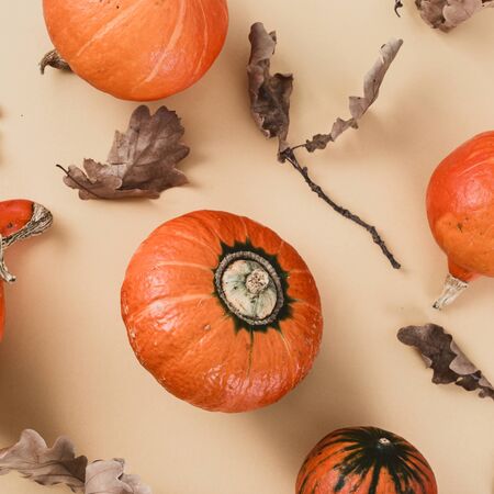 Autumn background concept Hokkaido pumpkin and dry leaves top viewの写真素材