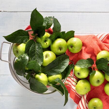 Fresh green apples in sieve top viewの写真素材