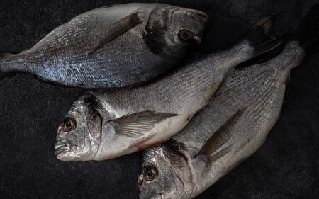 Fresh raw dorado fish on dark background top viewの写真素材