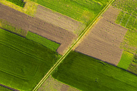 Birds eye view agriculture fields background