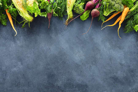 Eco food concept Various fresh vegetables on dark background with copy space top view