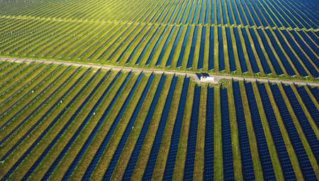 Solar panels in aerial view. Photovoltaic power plantの写真素材