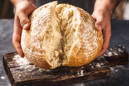 Male baker breaks freshly baked loaf of breadの写真素材