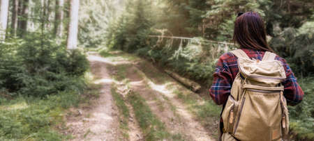 Back view woman walks with backpacker in the forest. Travel lifestyle concept の写真素材