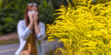 Ambrosia bush in the background woman blows her nose in napkin. Seasonal allergic reaction to plants conceptの写真素材